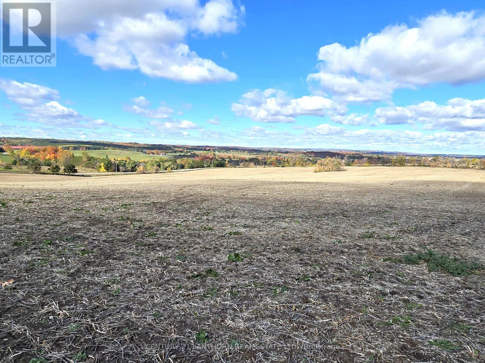 488297 30th Side Road, Mono, Ontario L0N 1R0 - Photo 35 - X12484213