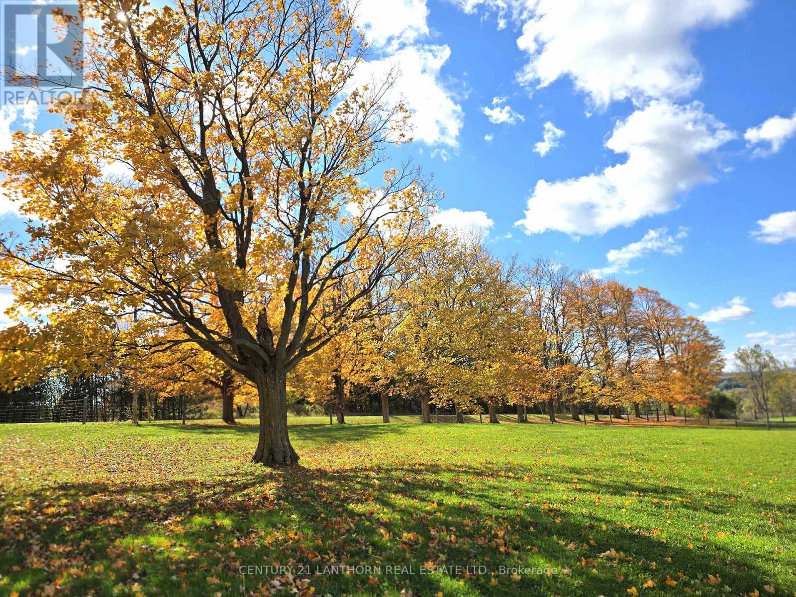488297 30th Side Road, Mono, Ontario L0N 1R0 - Photo 48 - X12484213