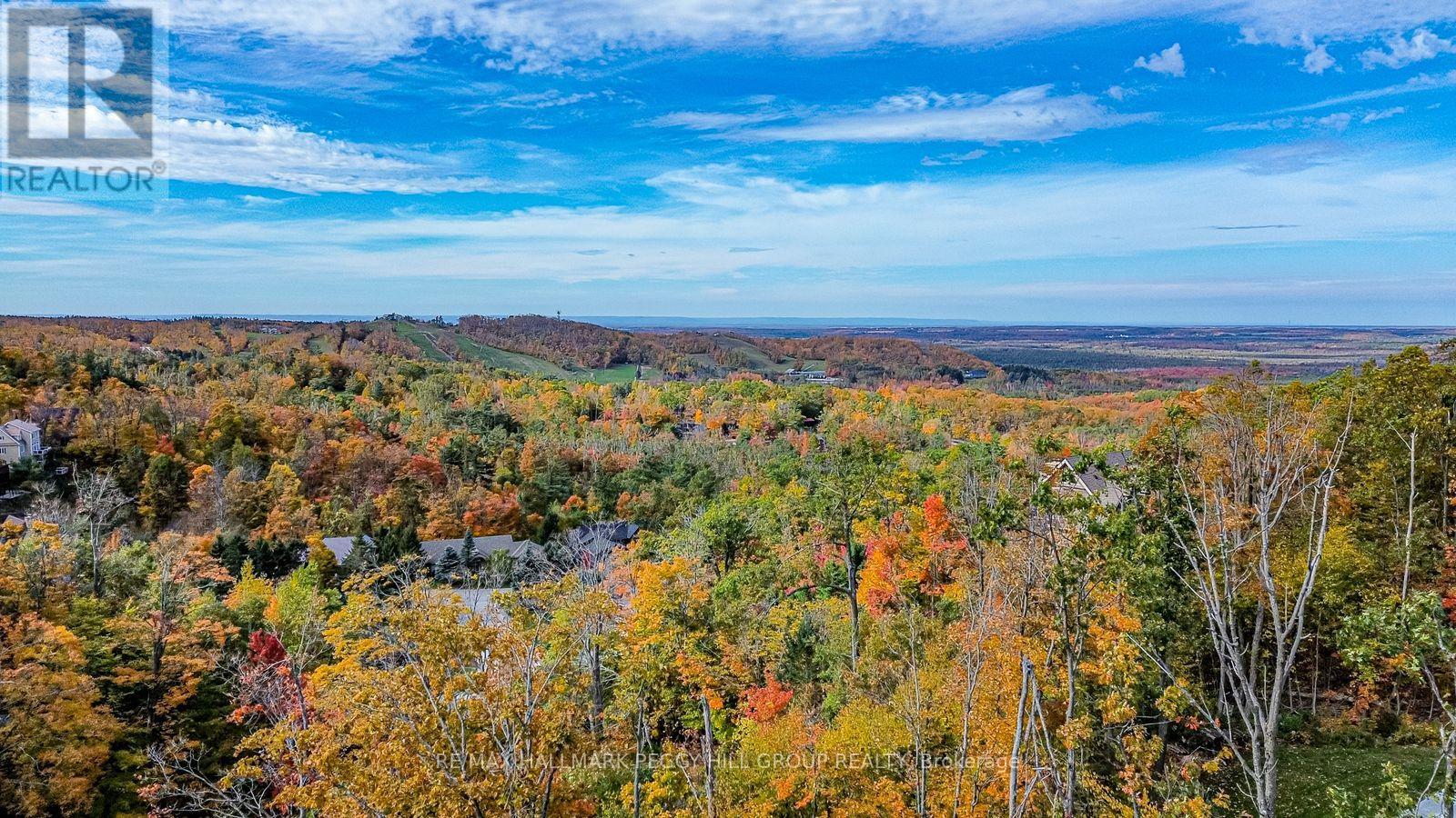 3316 Line 4 N, Oro-Medonte (Horseshoe Valley), Ontario  L0L 2L0 - Photo 35 - S12484091