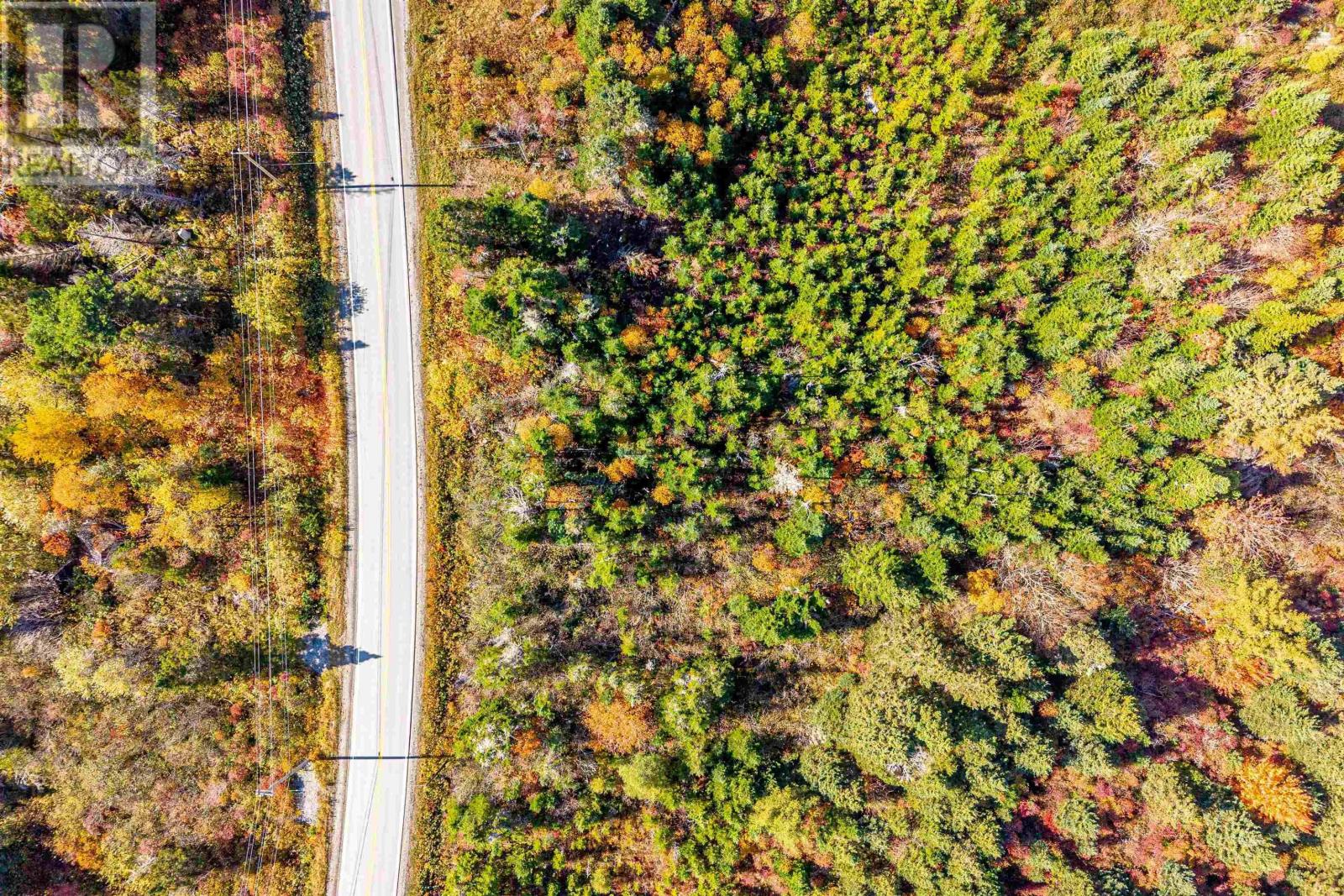 Acreage No 7 Highway, Harrigan Cove, Nova Scotia  B0J 2K0 - Photo 10 - 202526693