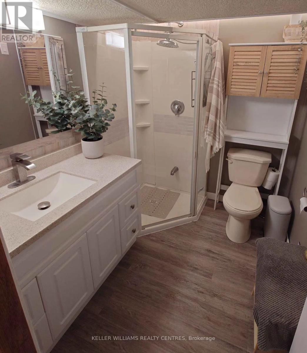 146 Queensville Side Road, East Gwillimbury, Ontario  L9N 0G2 - Photo 24 - N12484202