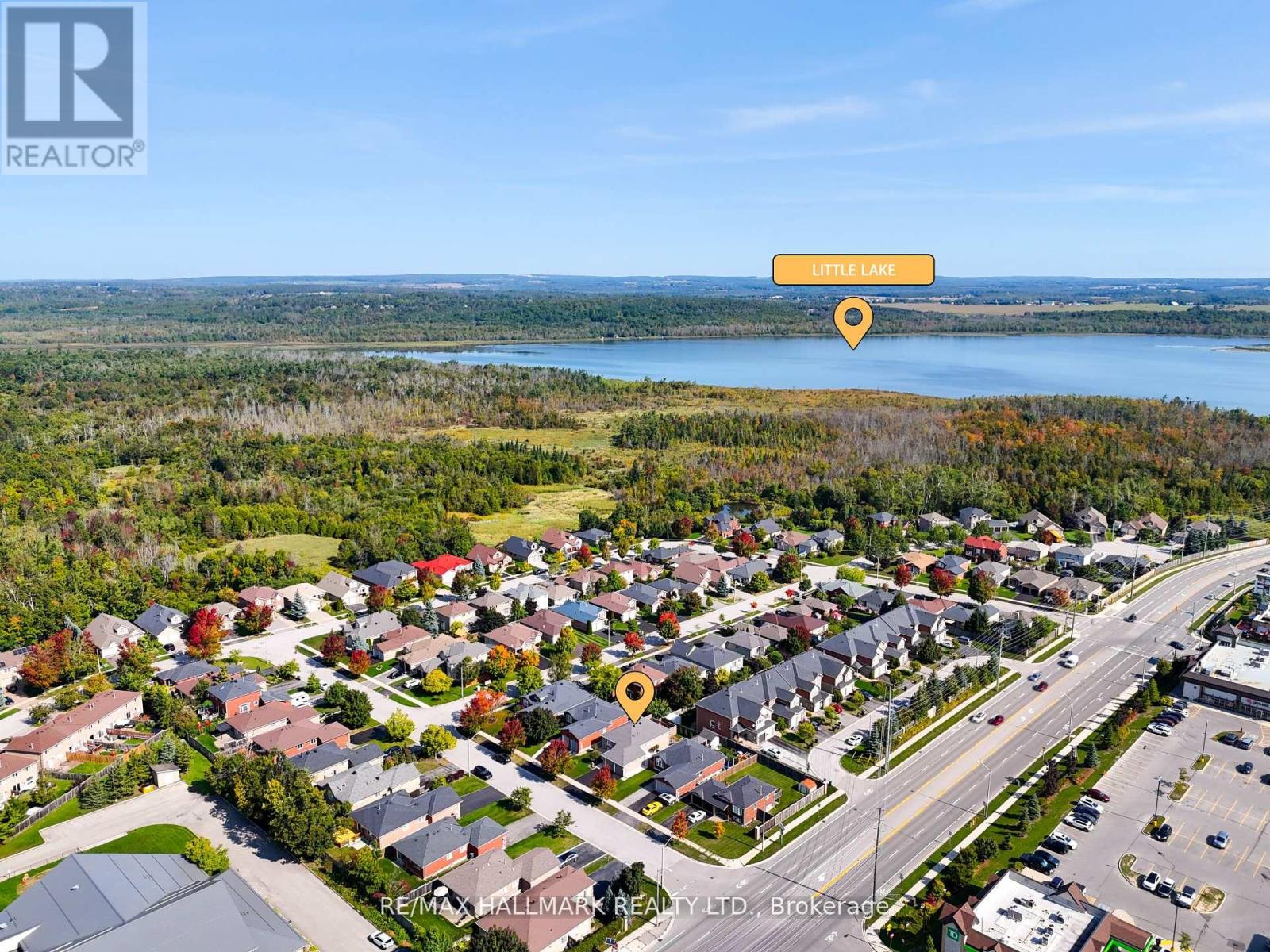 5 Pacific Avenue, Barrie (Little Lake), Ontario  L4M 7E7 - Photo 41 - S12484238