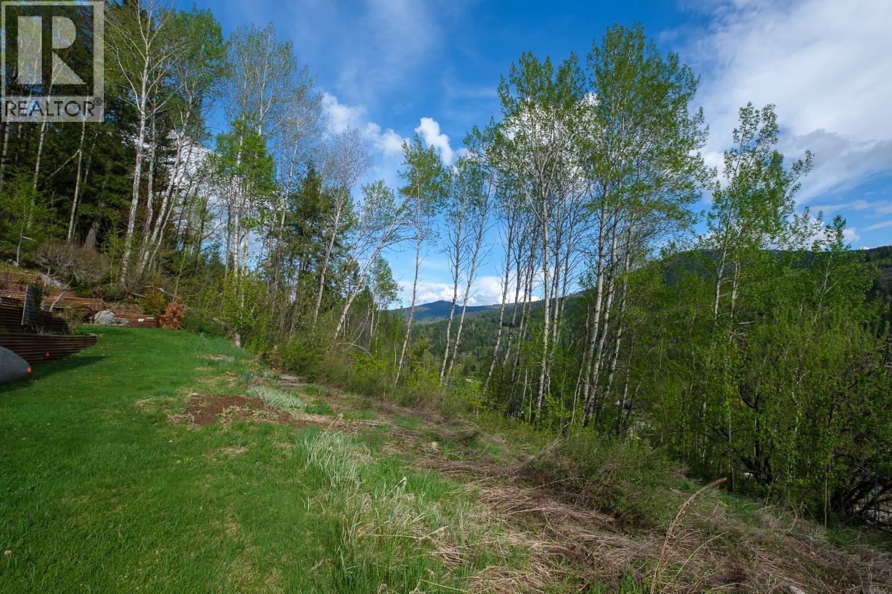 1021 Silvertip Road, Rossland, British Columbia  V0G 1Y0 - Photo 15 - 2470639