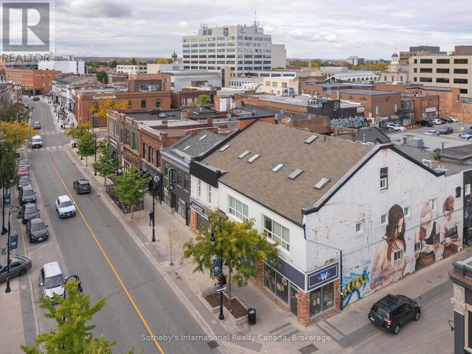 233-239 St. Paul Street, St. Catharines, Ontario  L2S 2E3 - Photo 6 - X12484265