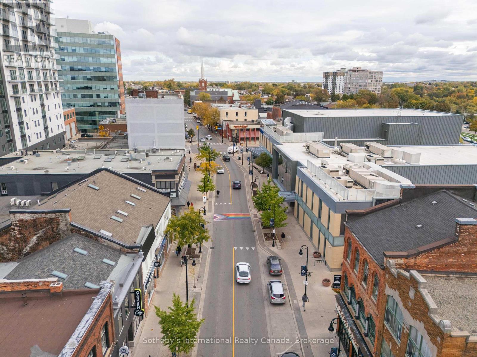 233-239 St. Paul Street, St. Catharines, Ontario  L2S 2E3 - Photo 8 - X12484265