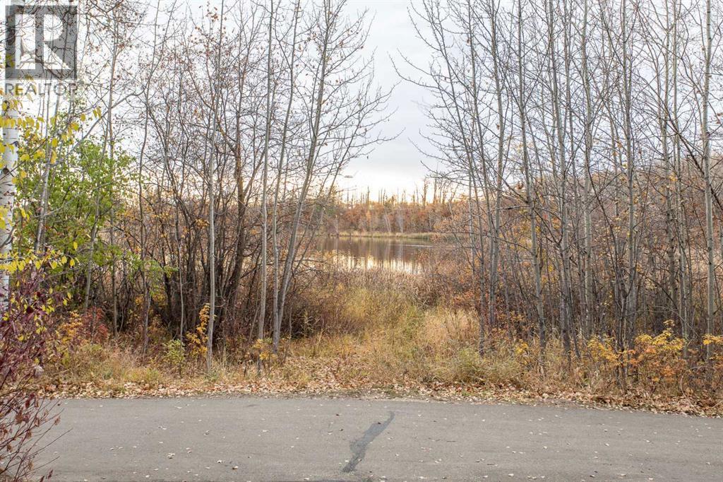 20 Cranna Cove, Lacombe, Alberta  T4L 2N7 - Photo 45 - A2267169