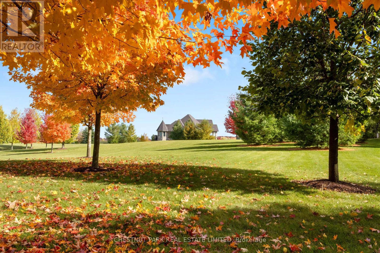 46 Anita Drive, Wellesley, Ontario  N0B 2M0 - Photo 4 - X12303793