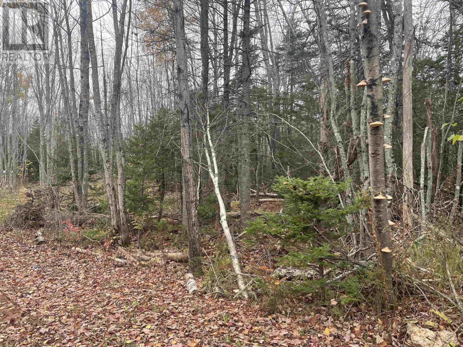 Allen Road, Route 122, South West Lot 16, Prince Edward Island  C0B 1T0 - Photo 1 - 202526694