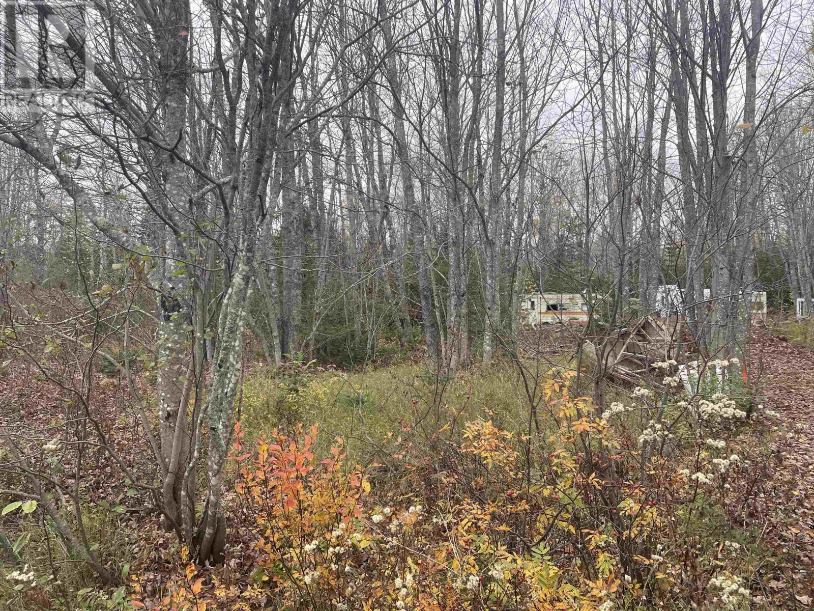 Allen Road, Route 122, South West Lot 16, Prince Edward Island  C0B 1T0 - Photo 3 - 202526694