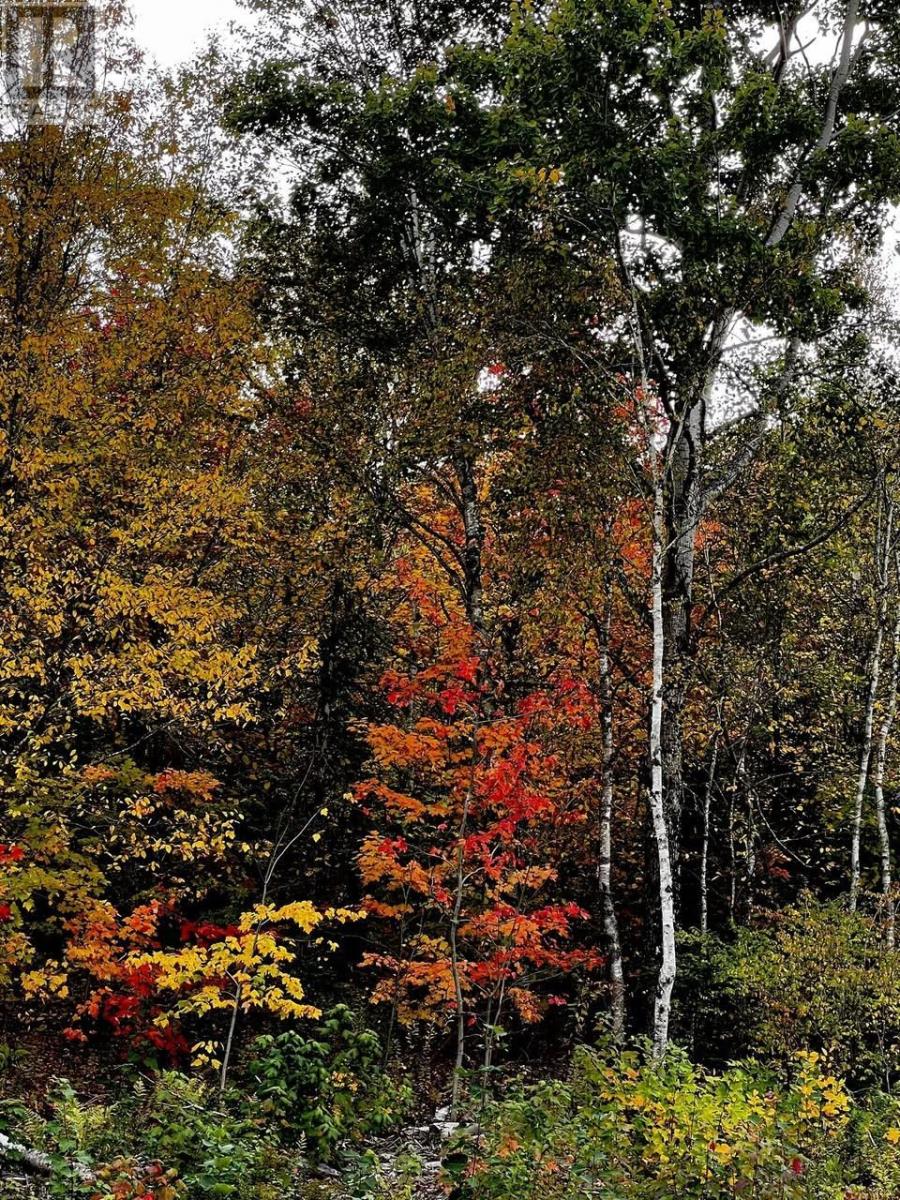 Lot 1 Monument Road, Stanchel, Prince Edward Island  C0A 1Y0 - Photo 6 - 202522573