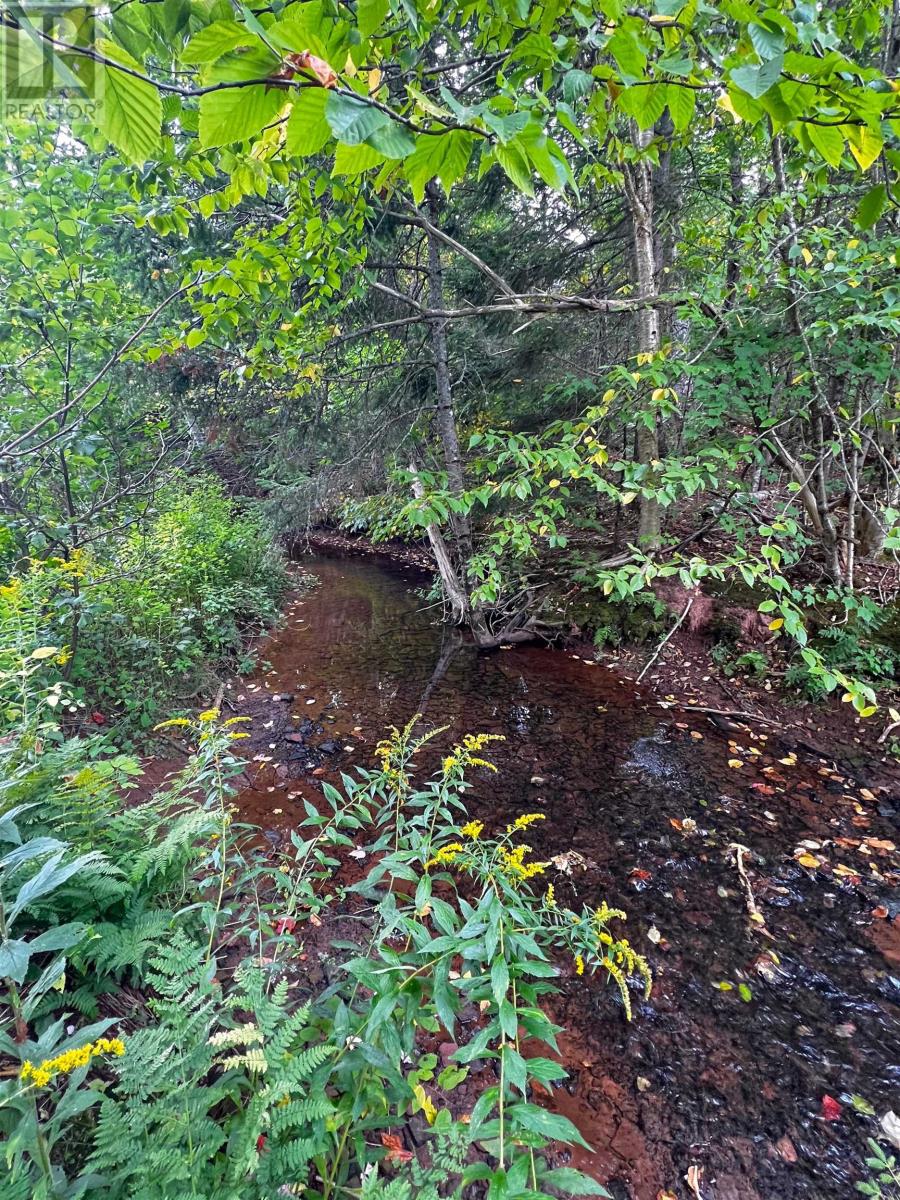 Lot 1 Monument Road, Stanchel, Prince Edward Island  C0A 1Y0 - Photo 3 - 202522573