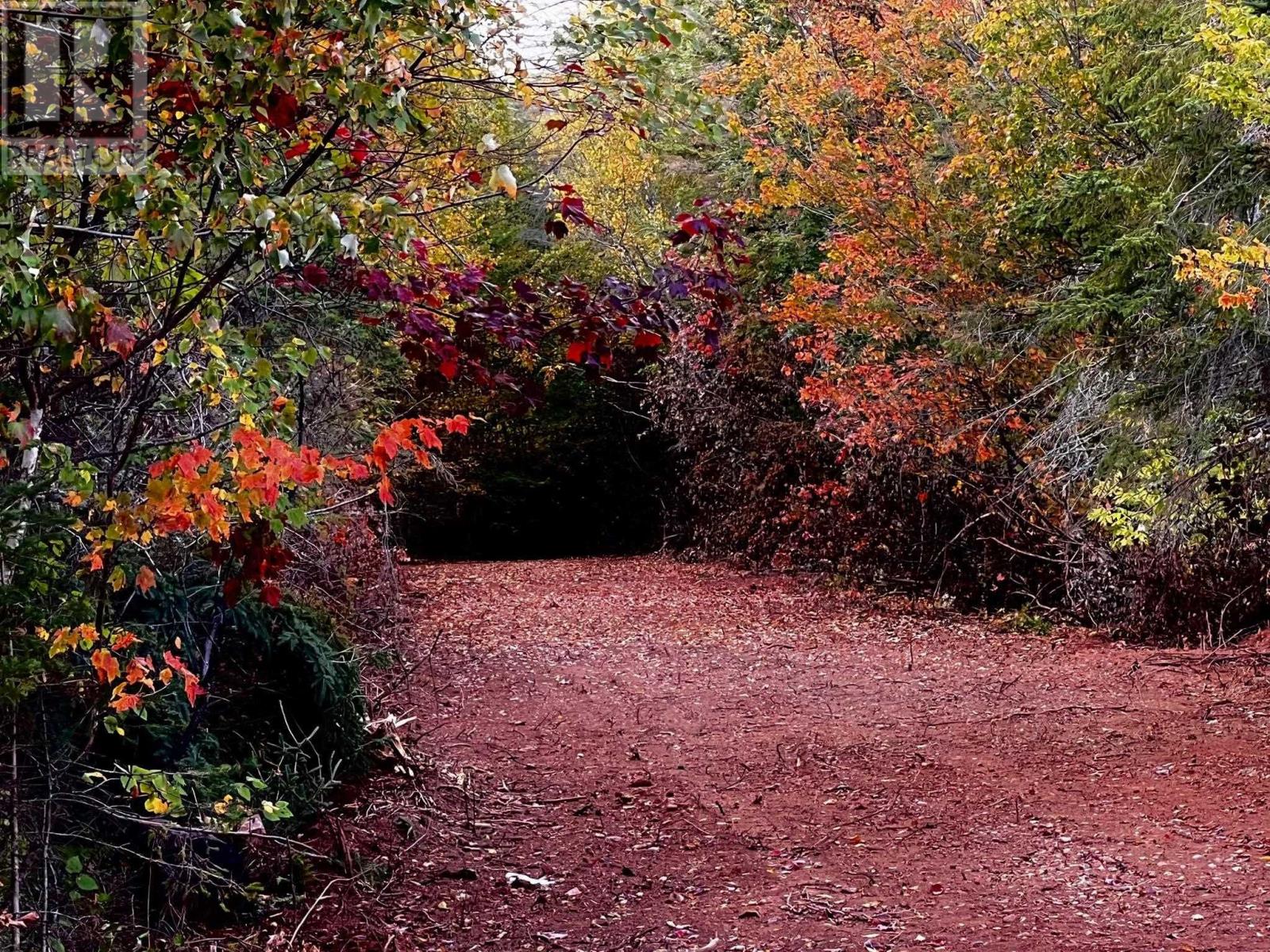 Lot 1 Monument Road, Stanchel, Prince Edward Island  C0A 1Y0 - Photo 5 - 202522573