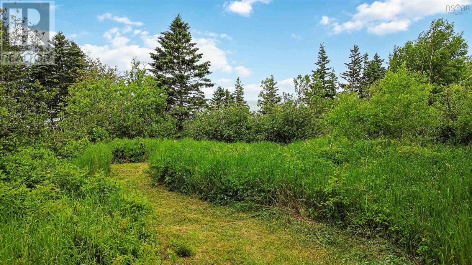 Lot 101 Shore Road, Phinneys Cove, Nova Scotia  B0S 1L0 - Photo 14 - 202505793