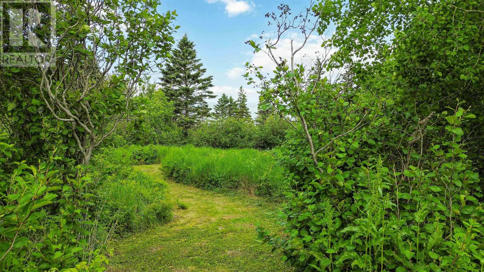 Lot 101 Shore Road, Phinneys Cove, Nova Scotia  B0S 1L0 - Photo 13 - 202505793