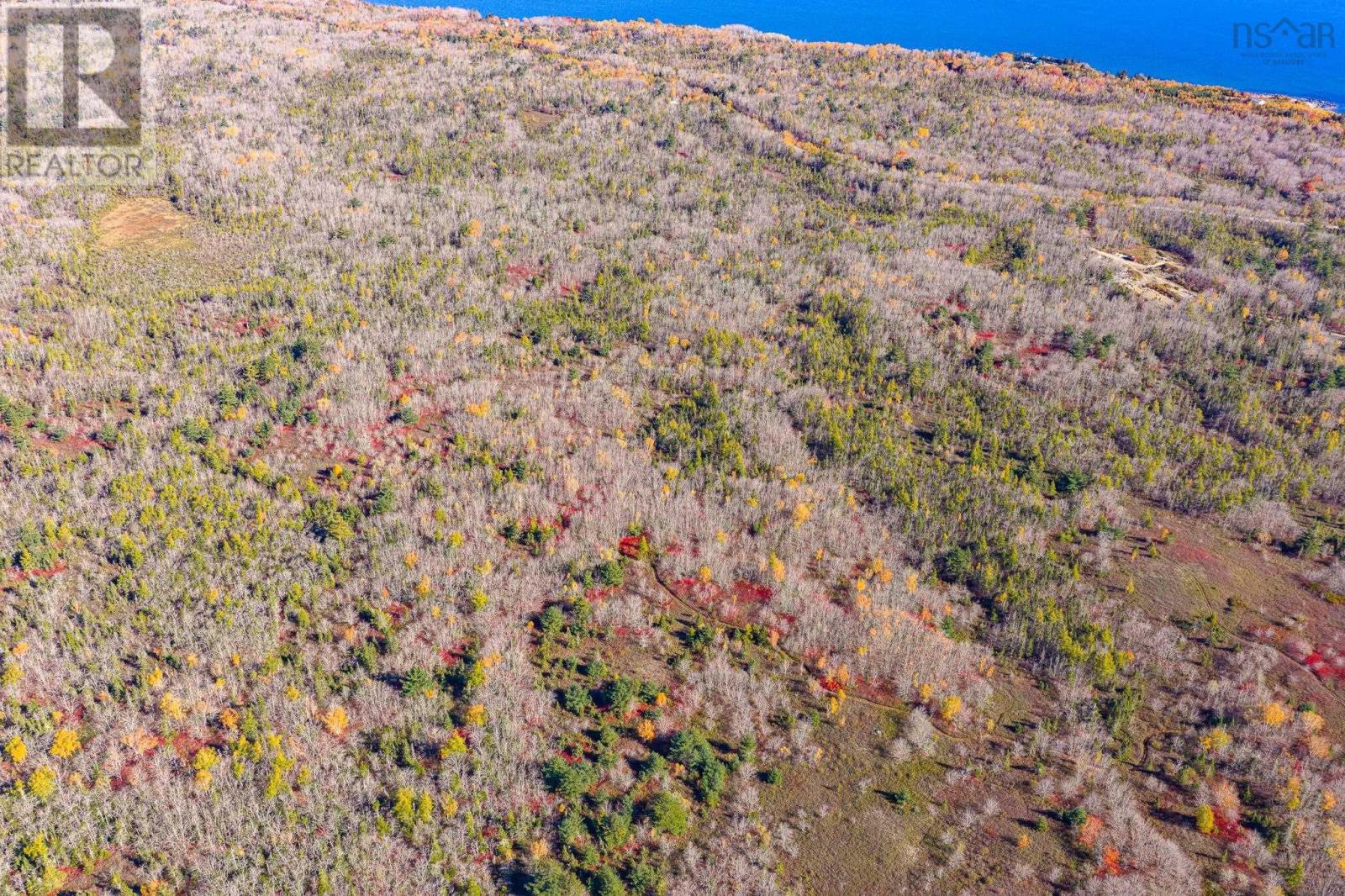 Pid#80099674 Sandy Point Road, Shelburne, Nova Scotia  B0T 1W0 - Photo 17 - 202525646