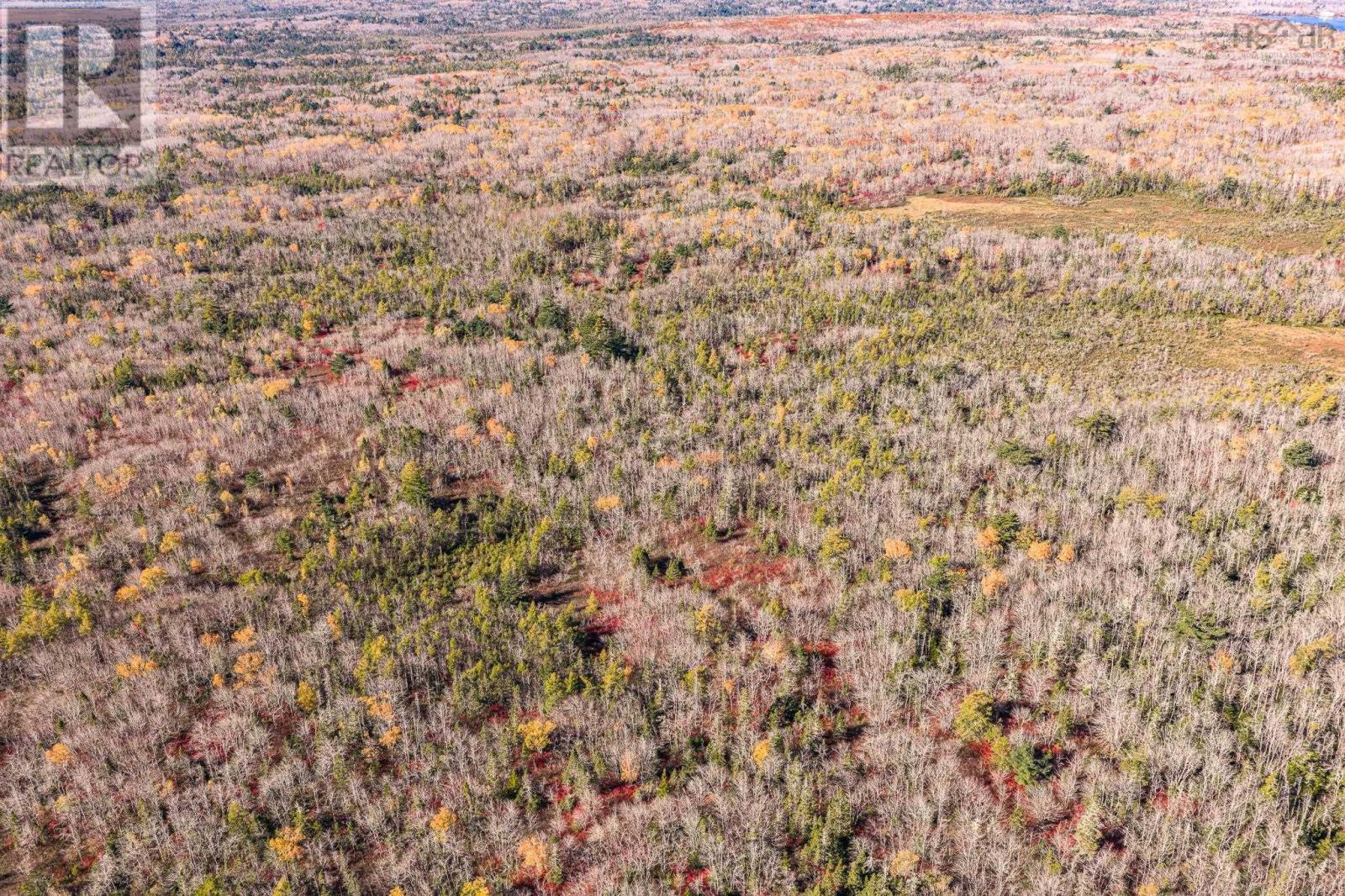 Pid#80099674 Sandy Point Road, Shelburne, Nova Scotia  B0T 1W0 - Photo 8 - 202525646