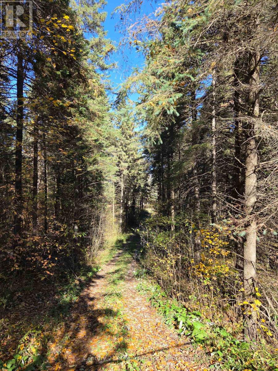 627383 15 SIDE ROAD, Mulmur, Ontario