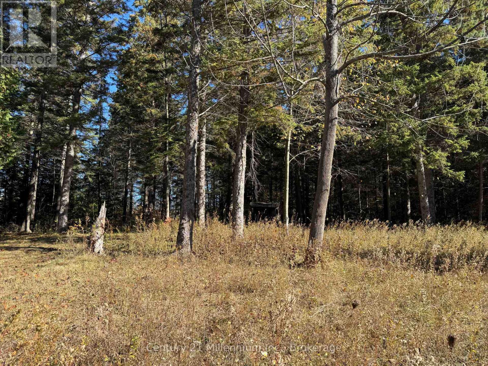 627383 15 Side Road, Mulmur, Ontario  L0N 1M0 - Photo 2 - X12484359