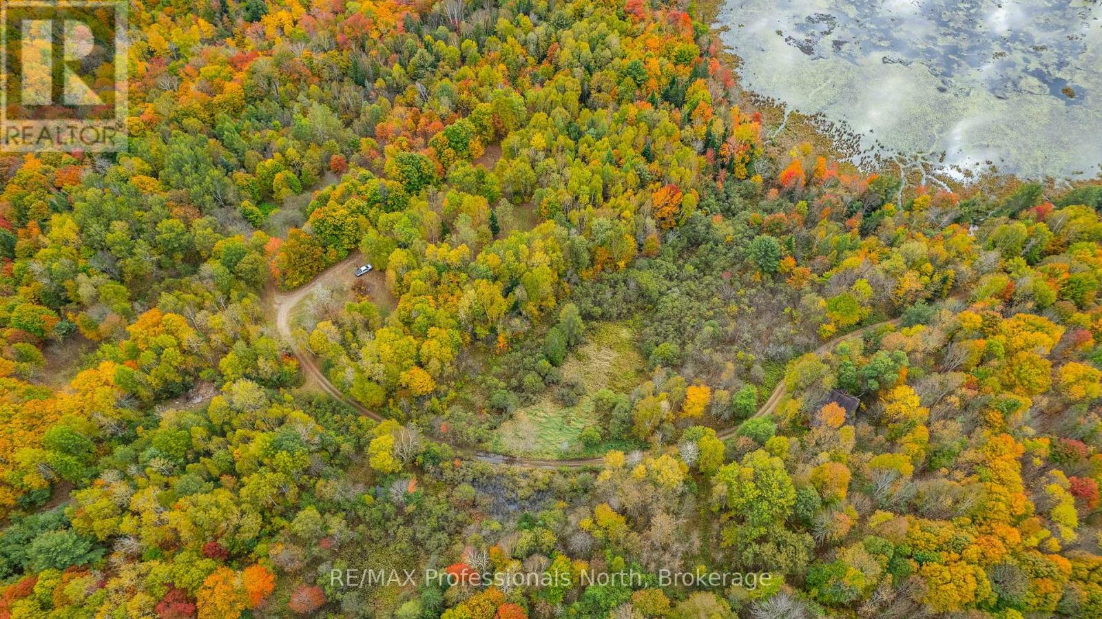 1600 Bobcaygeon Road, Minden Hills, Ontario  K0M 2K0 - Photo 25 - X12484391