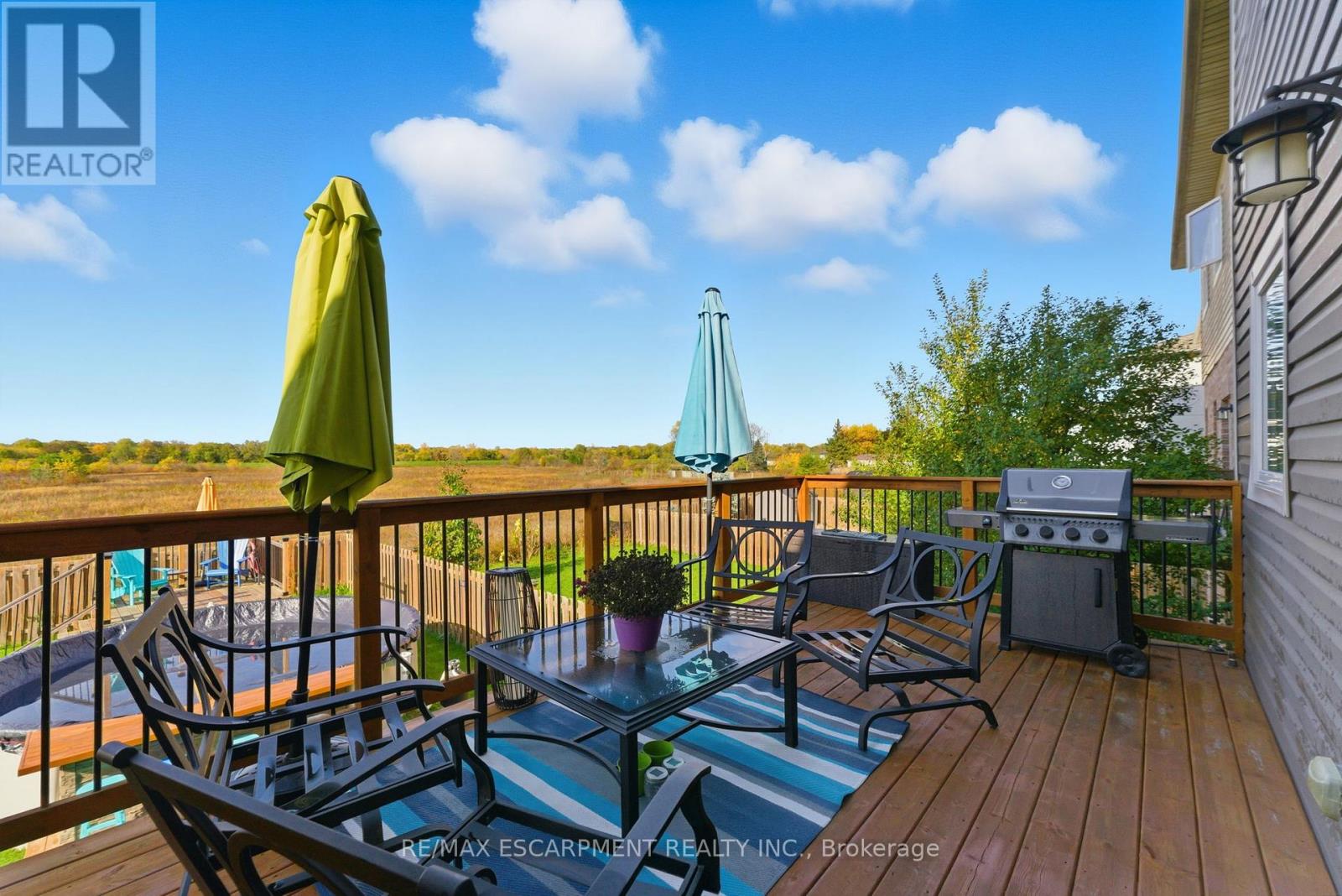 383 Erie Avenue, Brantford, Ontario  N3S 0E6 - Photo 38 - X12484298