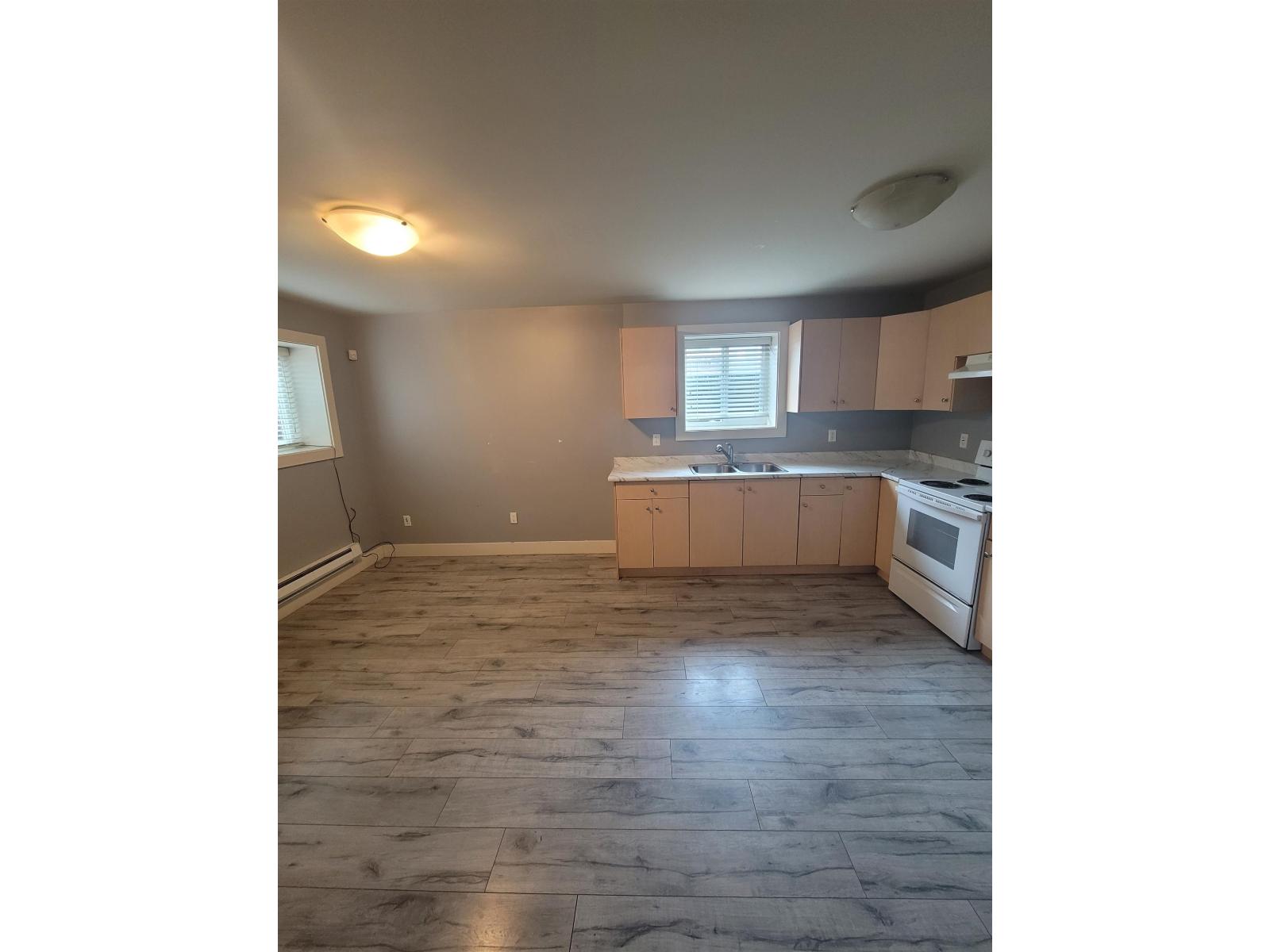 Basement 10595 159b Street, Surrey, British Columbia V4N 3J4 - Photo 6 - R3062188