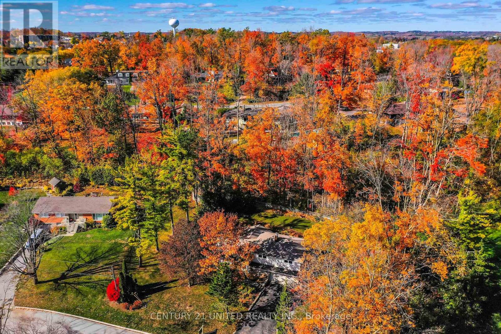 45 Crestwood Avenue, Peterborough, Ontario K9J 1N1 - Photo 8 - X12419689