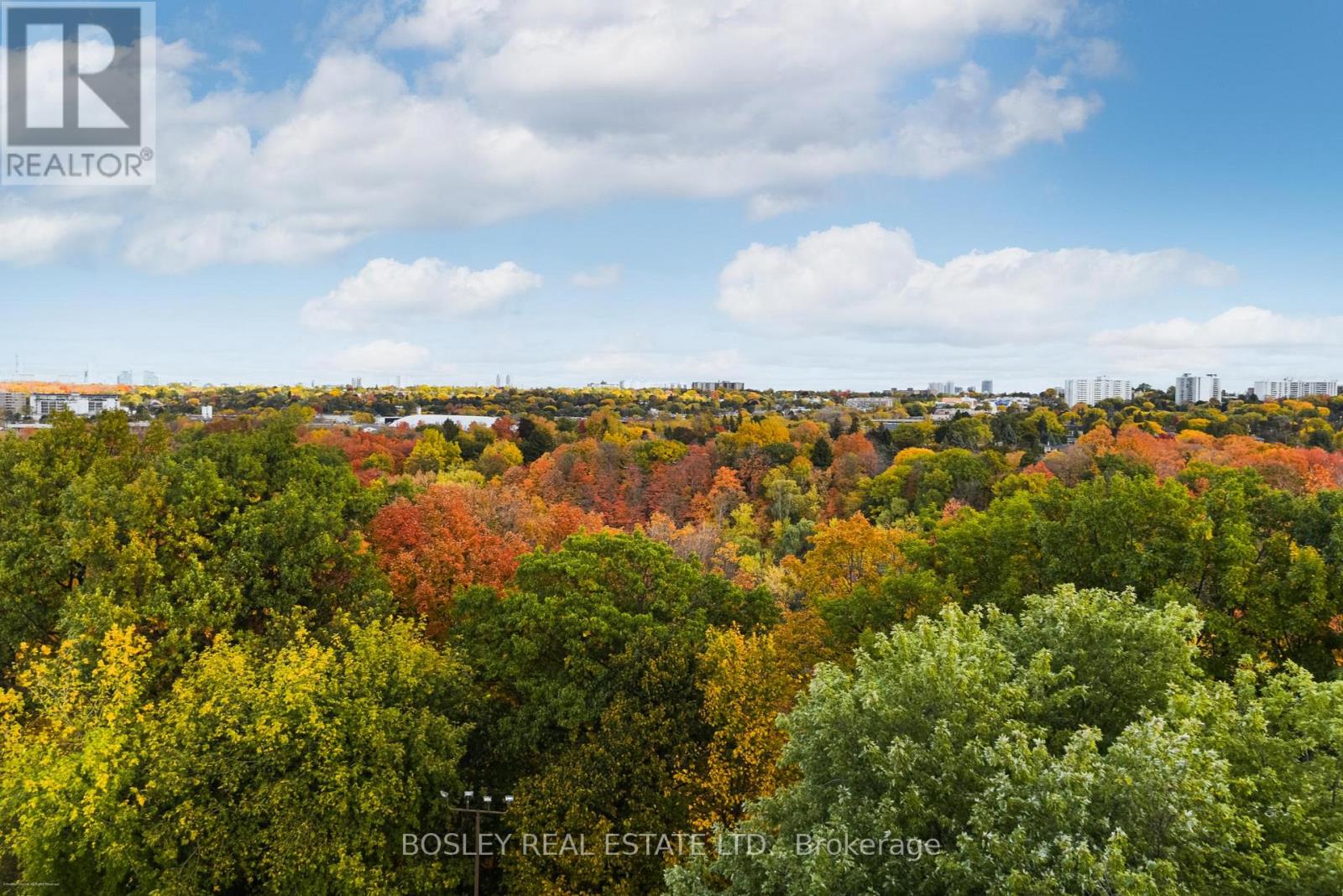 902 - 75 Wynford Heights Crescent, Toronto, Ontario  M3C 3H9 - Photo 24 - C12484421