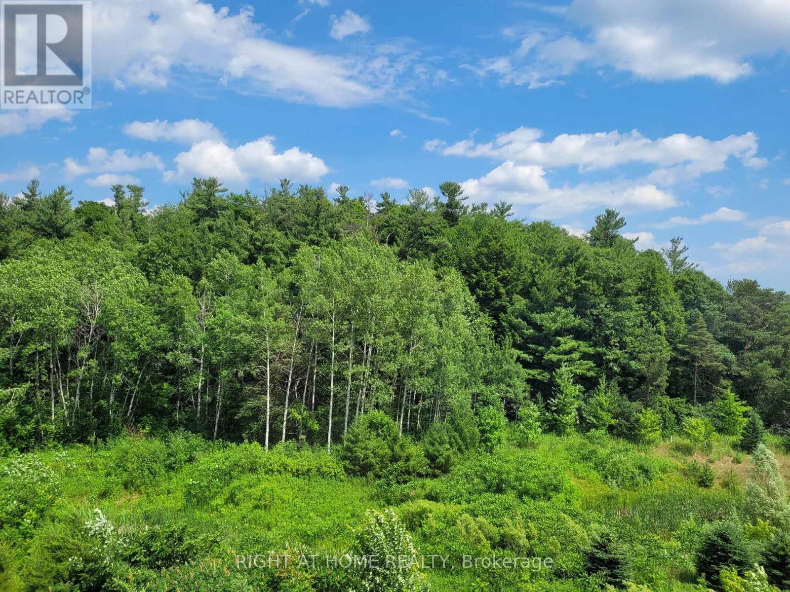 216 Sunset Vista Court E, Aurora, Ontario  L4G 3Y1 - Photo 41 - N12484433