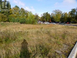 2 Sandy Beach Mews, Dryden, Ontario P8N 3J6 - Photo 2 - TB253306