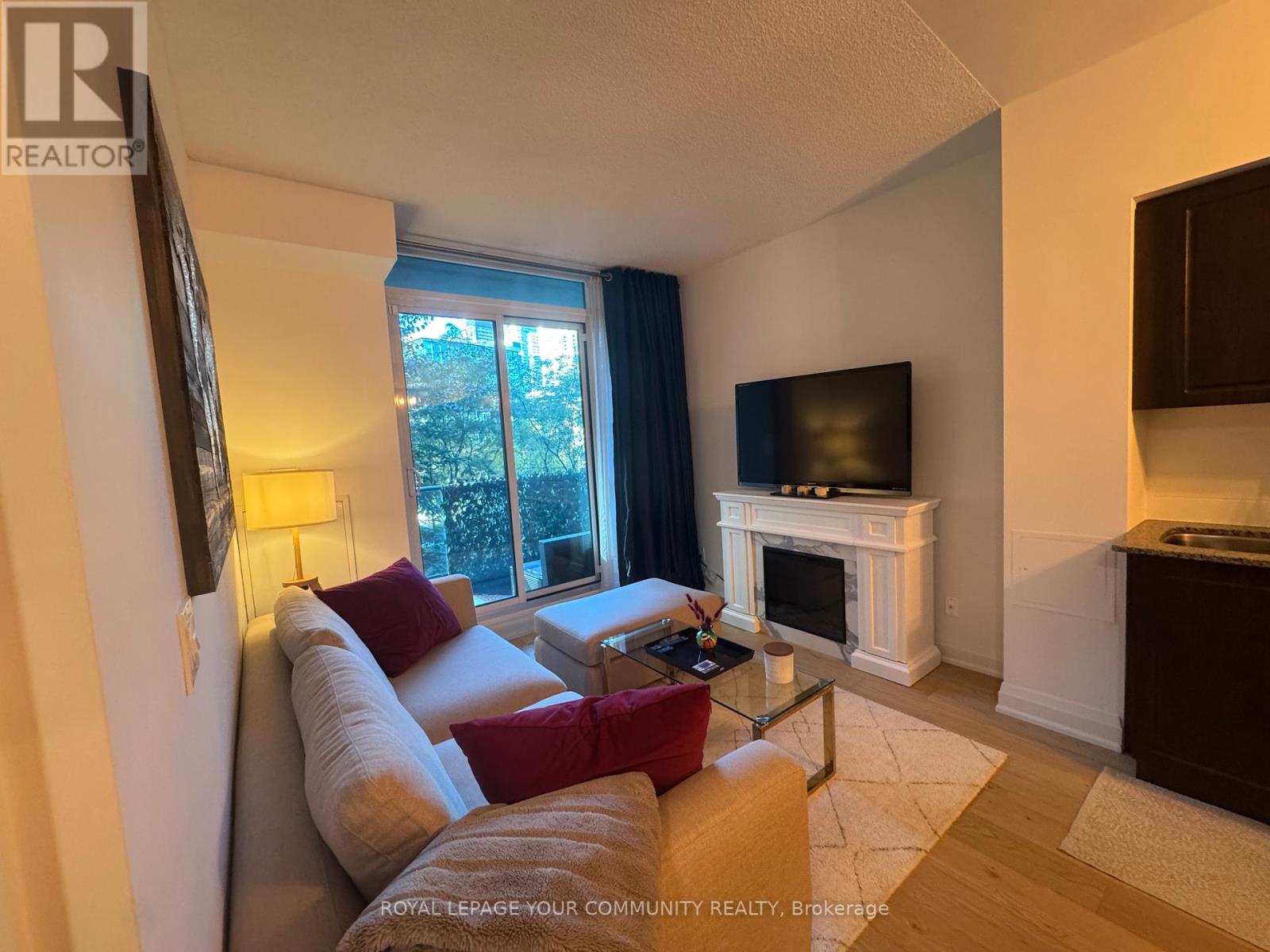 384 - 209 Fort York Boulevard, Toronto, Ontario  M5V 4A1 - Photo 8 - C12484504