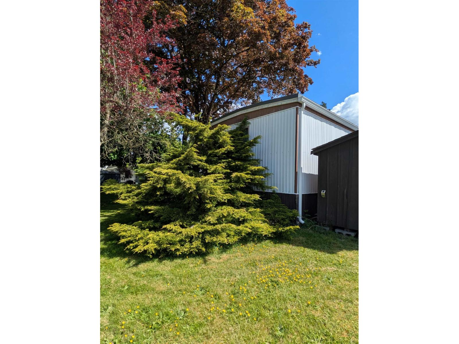 5 23141 72 Avenue, Langley, British Columbia  V2Y 2R9 - Photo 4 - R3062075