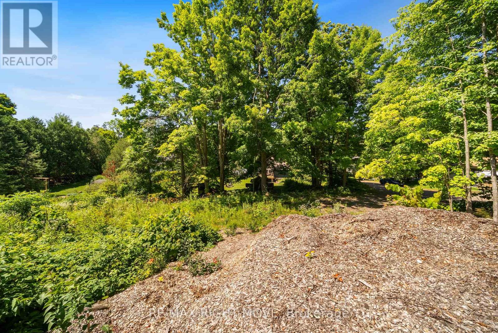 255 Pearl Drive, Gravenhurst, Ontario  P1P 1R2 - Photo 3 - X12484566