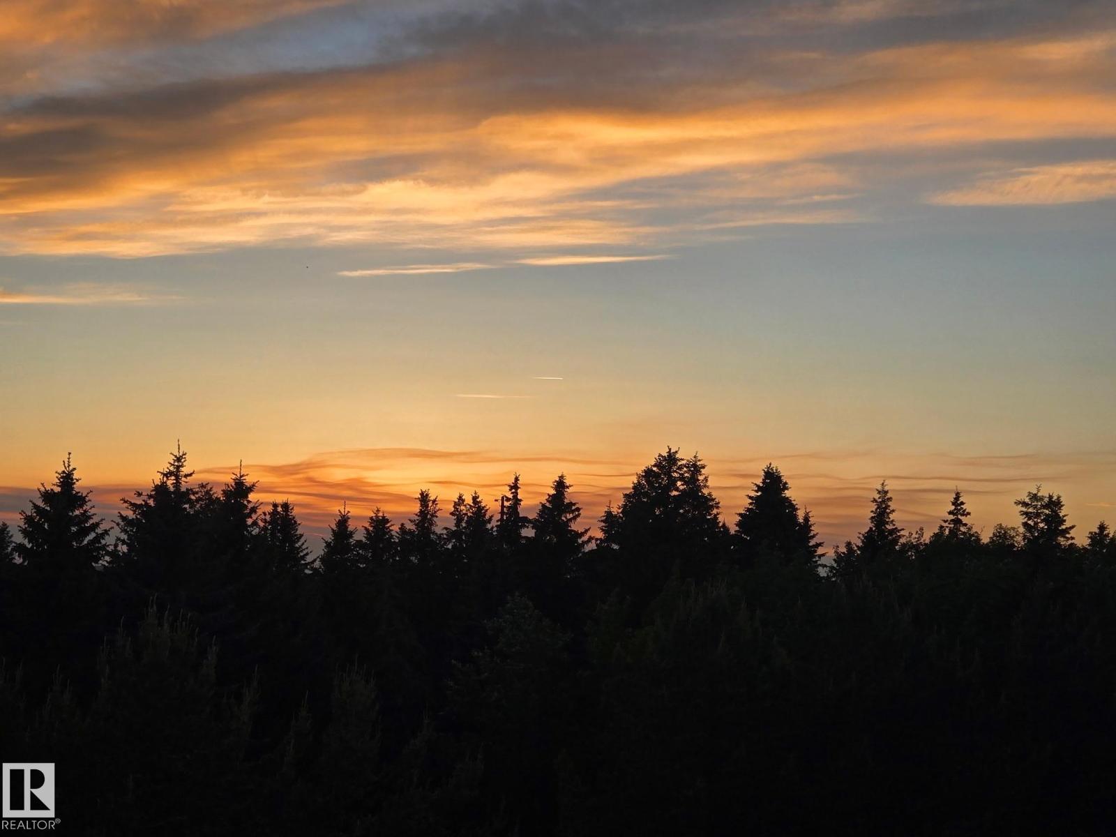 #42 1304 Rutherford Rd Sw, Edmonton, Alberta  T6W 0B4 - Photo 46 - E4463101