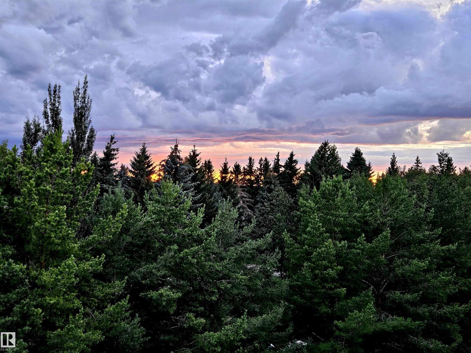 #42 1304 Rutherford Rd Sw, Edmonton, Alberta  T6W 0B4 - Photo 43 - E4463101