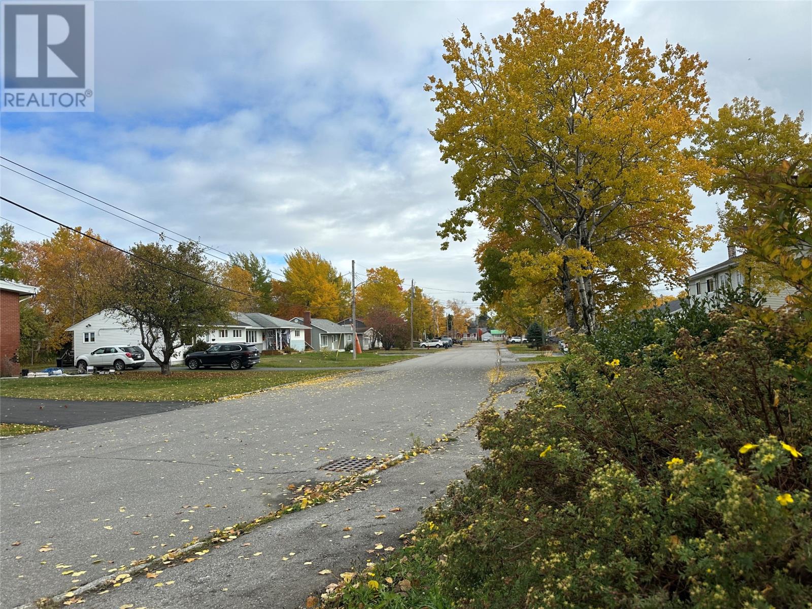 61 Macdonald Drive, Gander, Newfoundland & Labrador  A1V 1G1 - Photo 35 - 1291827