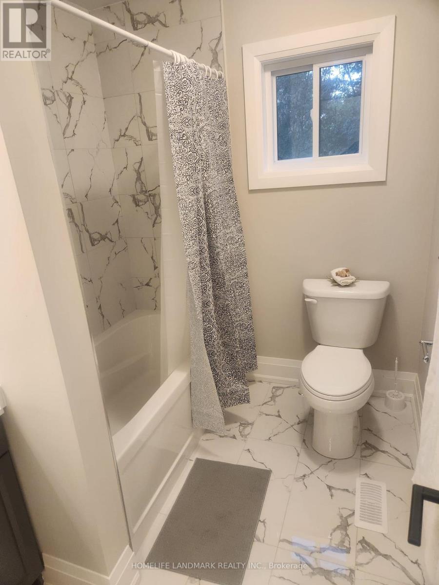 Main Unit - 452 D'arcy Street S, Newmarket, Ontario  L3Y 1N1 - Photo 11 - N12484591