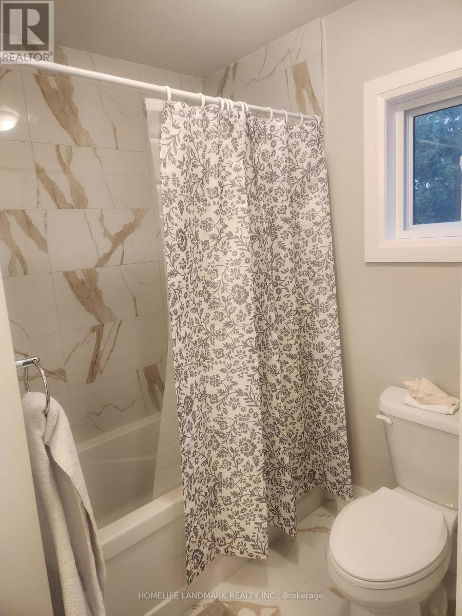 Main Unit - 452 D'arcy Street S, Newmarket, Ontario  L3Y 1N1 - Photo 12 - N12484591