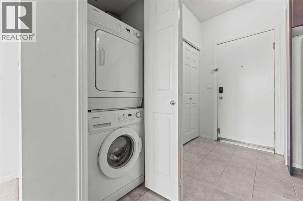 509, 315 3 Street Se, Calgary, Alberta T2G 0S3 - Photo 10 - A2266168