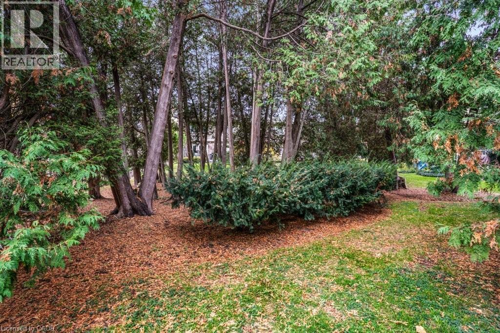 295 Water Street Unit# 171, Guelph, Ontario  N1G 2X5 - Photo 39 - 40782497
