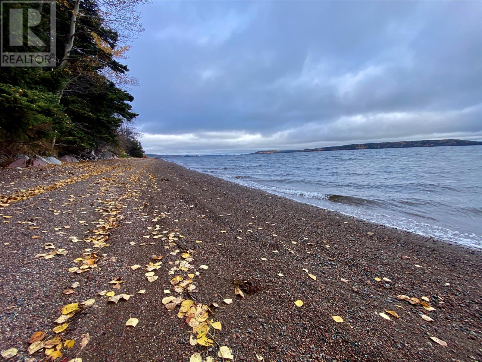 450 Main Street, Northern Arm, Newfoundland & Labrador  A0H 1E0 - Photo 11 - 1290834