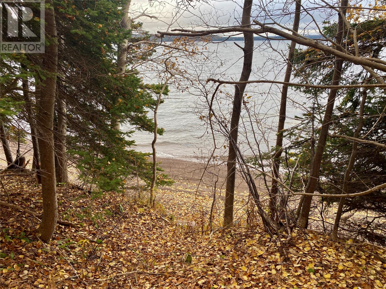 450 Main Street, Northern Arm, Newfoundland & Labrador  A0H 1E0 - Photo 10 - 1290834