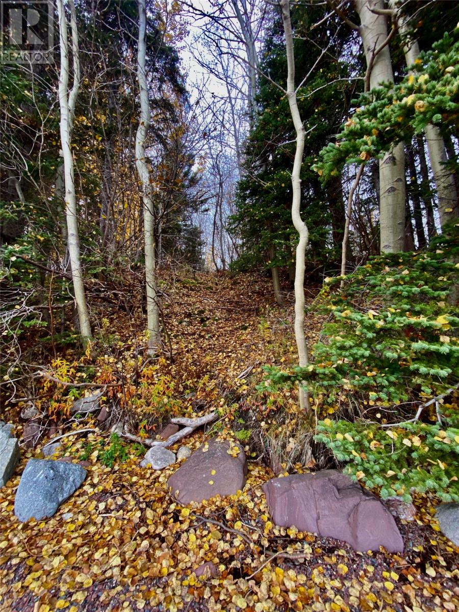 450 Main Street, Northern Arm, Newfoundland & Labrador  A0H 1E0 - Photo 13 - 1290834