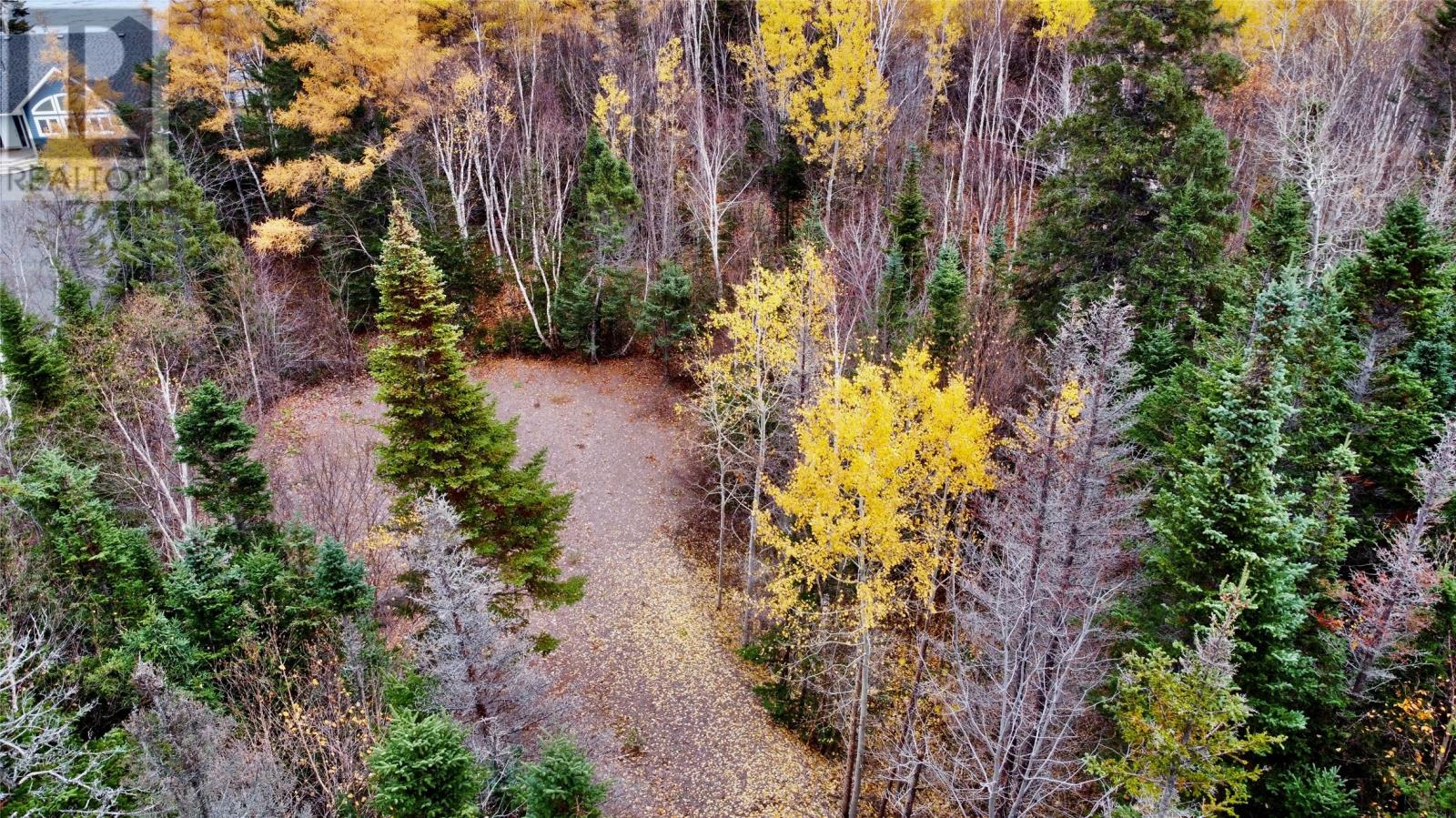 450 Main Street, Northern Arm, Newfoundland & Labrador  A0H 1E0 - Photo 5 - 1290834