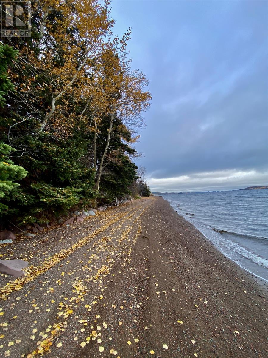 450 Main Street, Northern Arm, Newfoundland & Labrador  A0H 1E0 - Photo 14 - 1290834