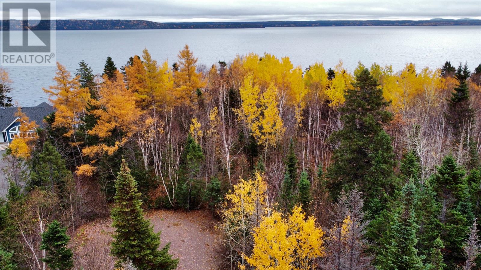 450 Main Street, Northern Arm, Newfoundland & Labrador  A0H 1E0 - Photo 4 - 1290834