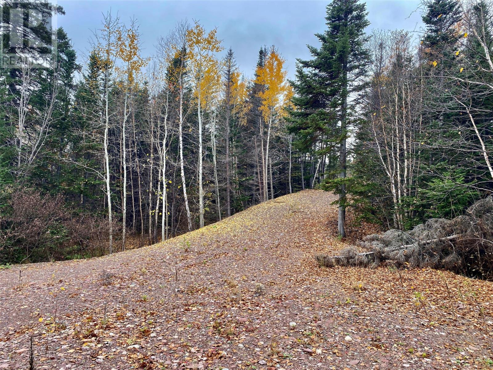 450 Main Street, Northern Arm, Newfoundland & Labrador  A0H 1E0 - Photo 9 - 1290834