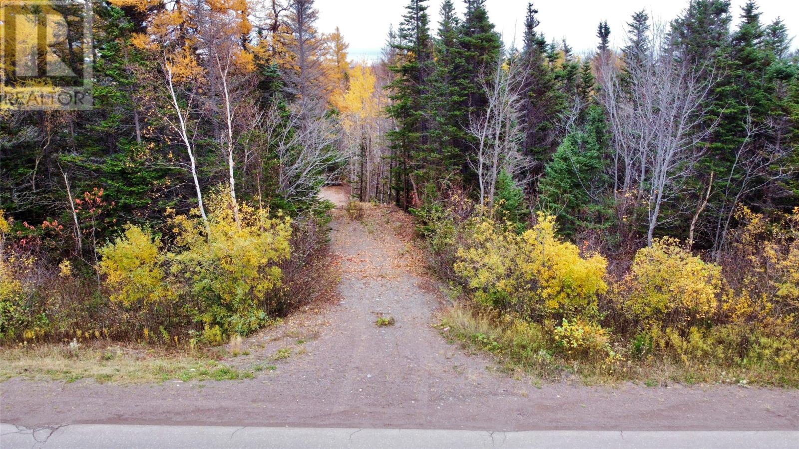 450 Main Street, Northern Arm, Newfoundland & Labrador  A0H 1E0 - Photo 6 - 1290834