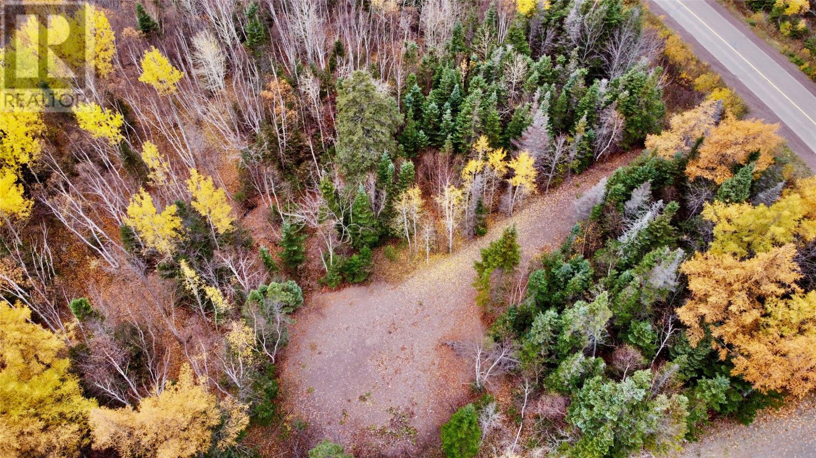 450 Main Street, Northern Arm, Newfoundland & Labrador  A0H 1E0 - Photo 7 - 1290834