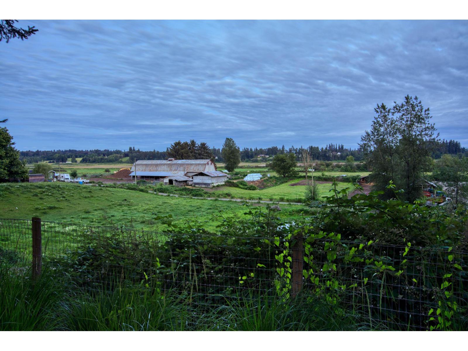 23082 88 Avenue, Langley, British Columbia  V1M 2S4 - Photo 6 - R3062227