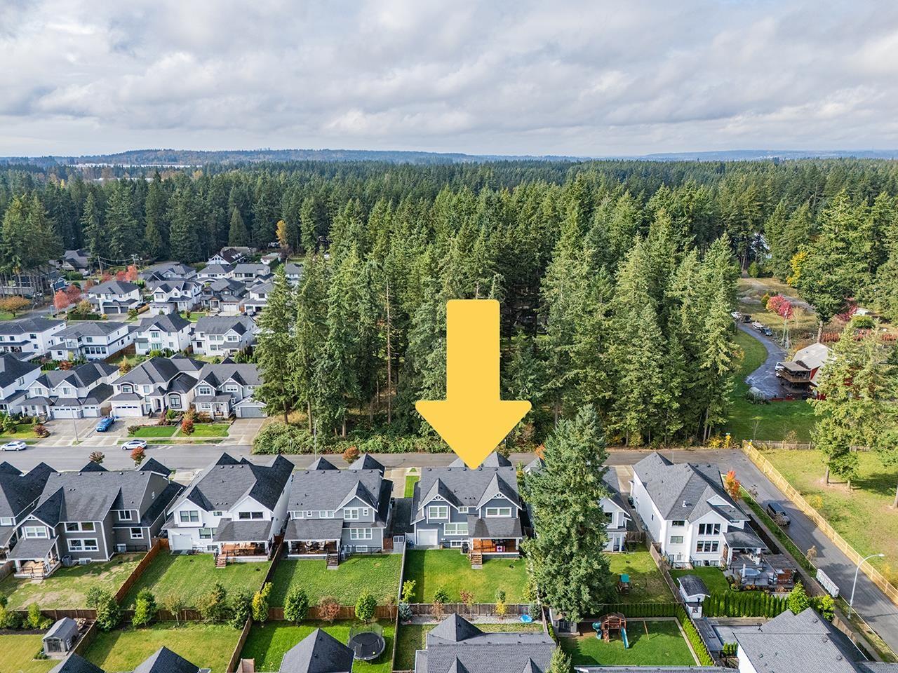 2870 203 Street, Langley, British Columbia  V2Z 0B4 - Photo 38 - R3062246